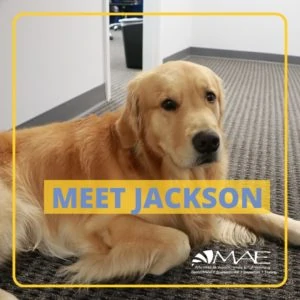 Jackson, MAE Mascot